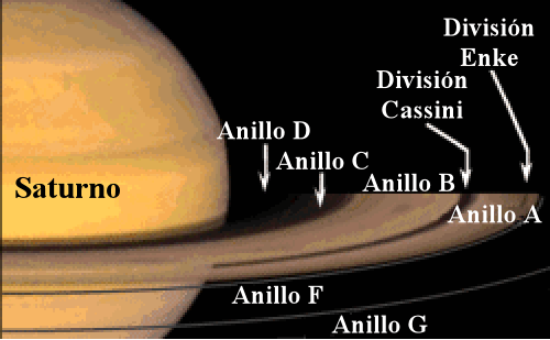 Los anillos de Saturno: jóvenes y de corta vida