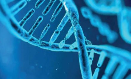 ¿Cómo apunta el ADN a la existencia de un Creador?