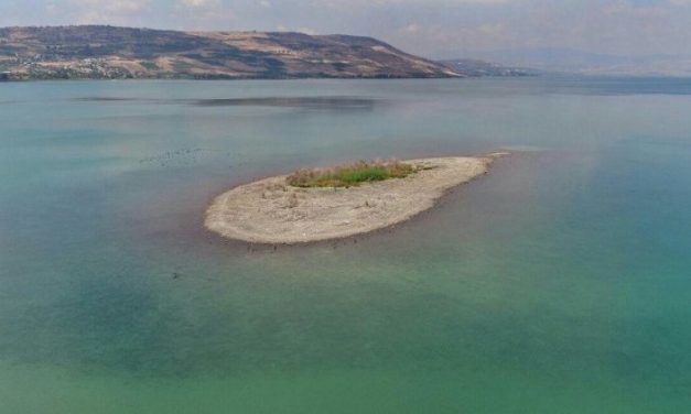 Sequía en Israel, pone en riesgo el Mar de Galilea
