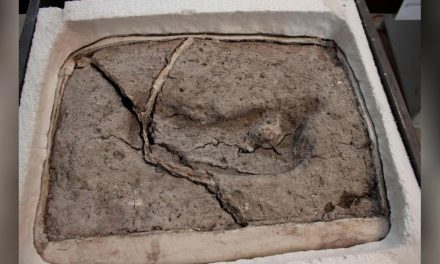Huella en Chile, ¿es la evidencia más antigua de los humanos en las Américas?