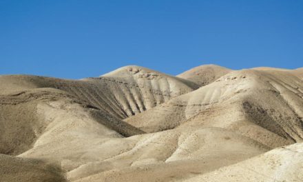 Nuevos hallazgos en el desierto de Judea
