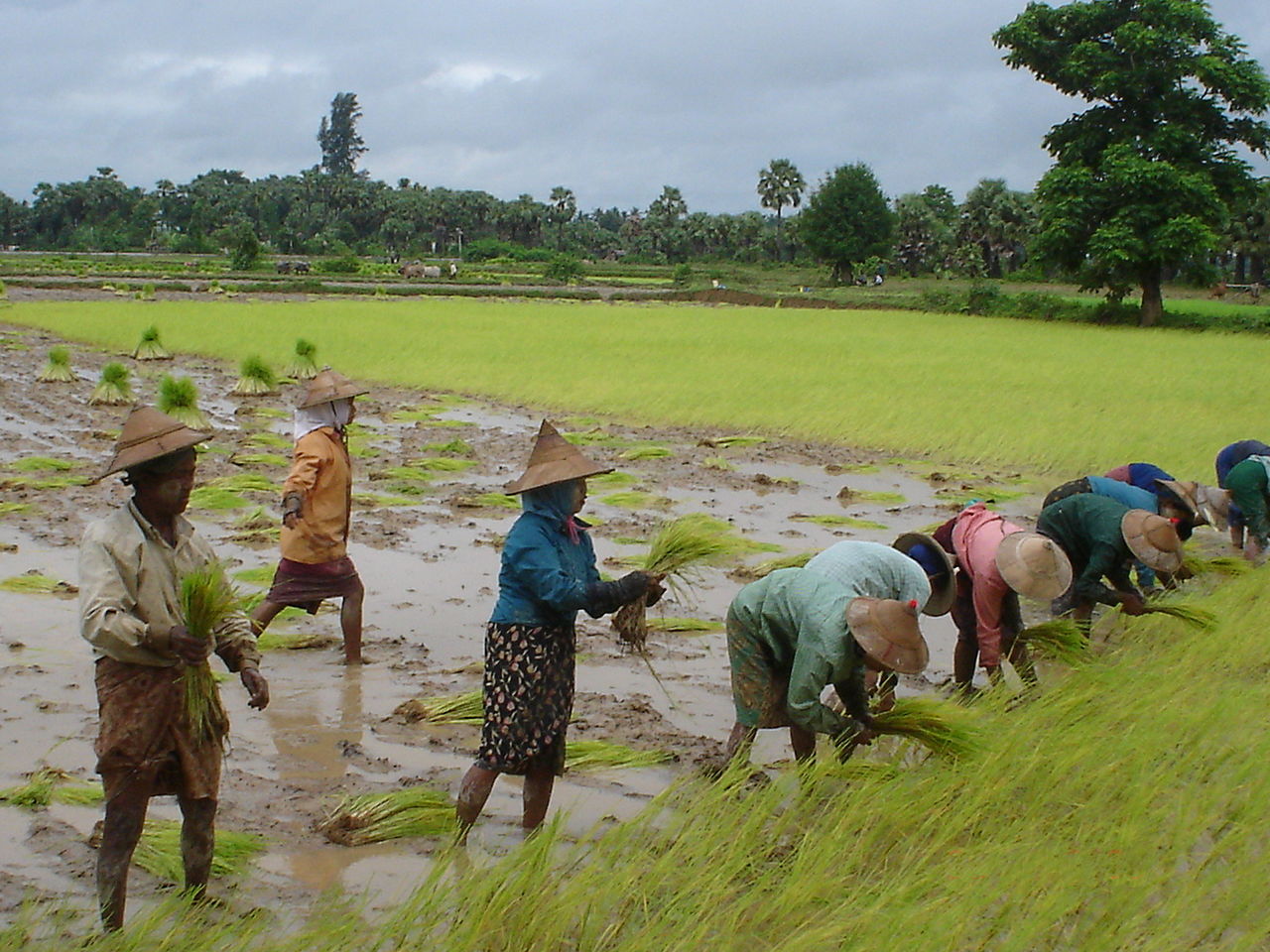 Persecución en Myanmar