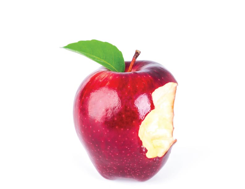 ¿Era el fruto prohibido una manzana?