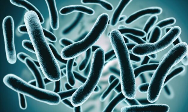 La resistencia de las bacterias a los antibióticos: ¿Un ejemplo de evolución en acción?