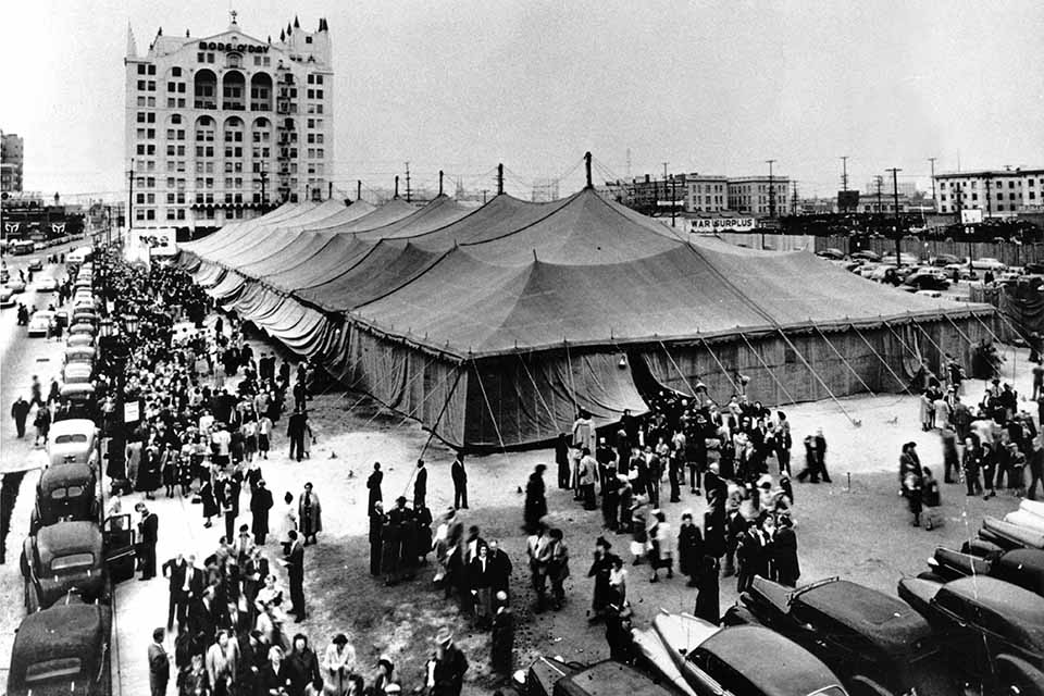 La pequeña carpa