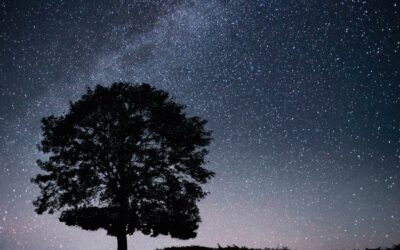 Mira el cielo nocturno