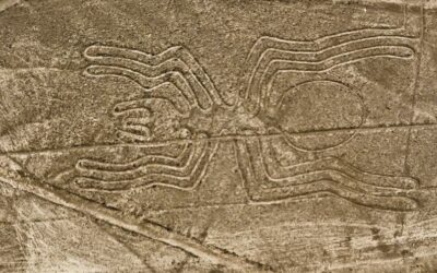 Sin misterios