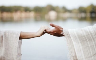 Protección y consuelo