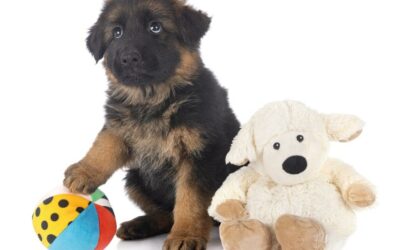 ¿Envidia de los rivales?