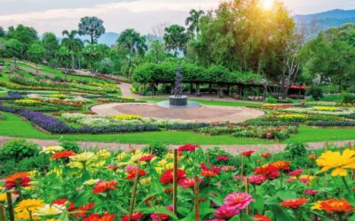 Un anticipo del cielo