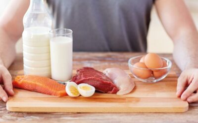 ¿Leche o alimento sólido?