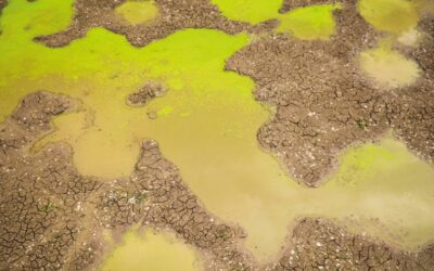 A pesar del lodo cenagoso