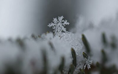 Únicos e irrepetibles