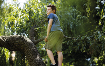 Cuánto más alto subo más puedo ver