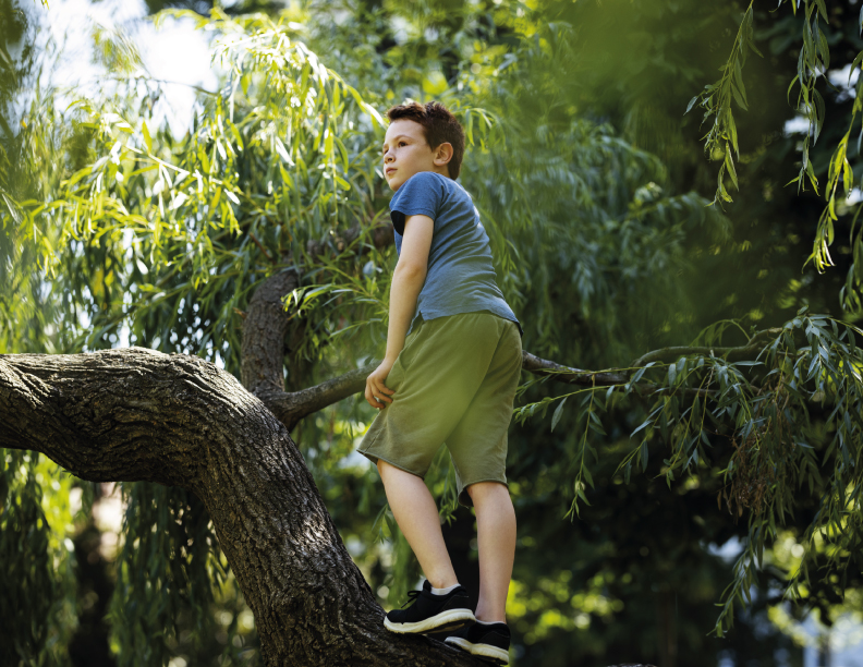 Cuánto más alto subo más puedo ver