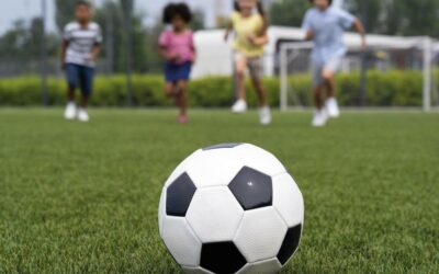 El camino hacia la madurez 