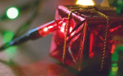 ¡No se explica con palabras!