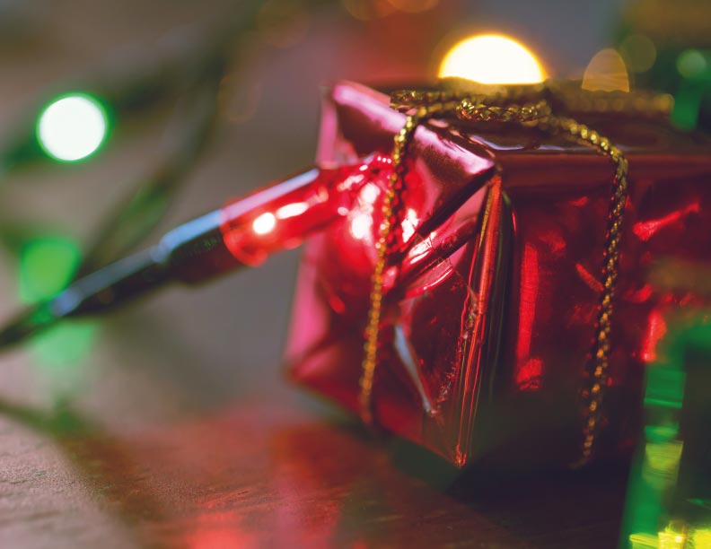 ¡No se explica con palabras!