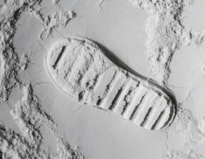 Amor en lo abstracto y en el concreto