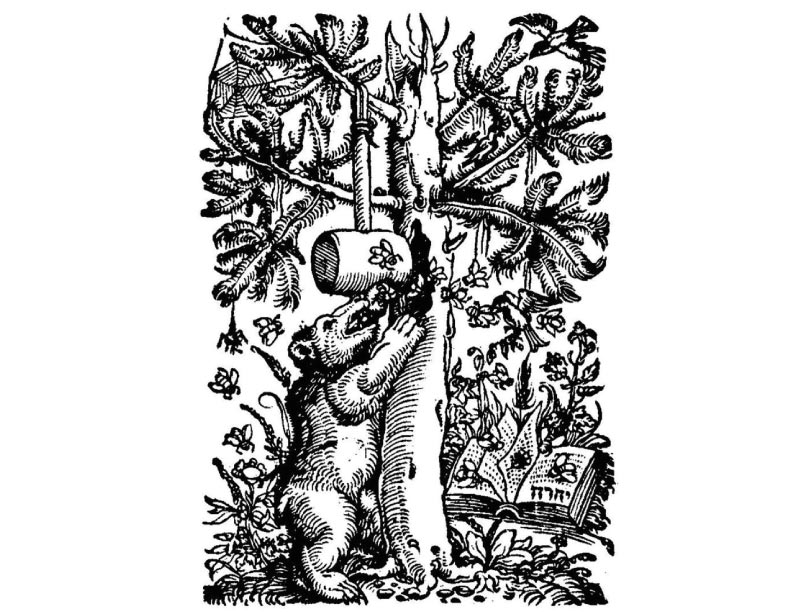 El oso y la Biblia
