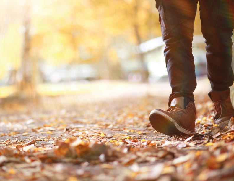 Caminar por una Biblia